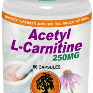 Acetyl L-Carnitine 250Mg (60) Willow