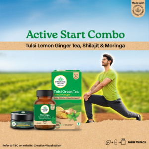 Tulsi Lemon Ginger (25) Organic India