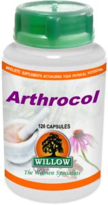 Arthrocol (120) Willow