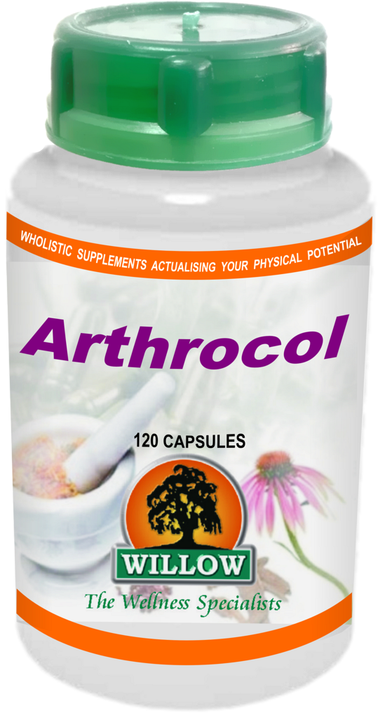 Arthrocol (120) Willow