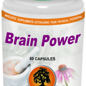 Brain Power (60) Willow