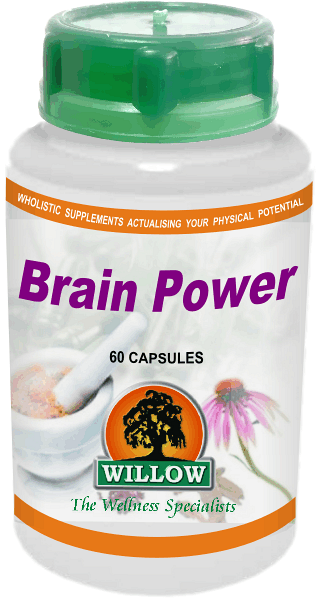 Brain Power (60) Willow