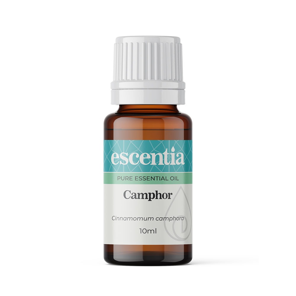Camphor (10ml) Escentia