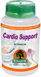 Cardio Support (90) Willow