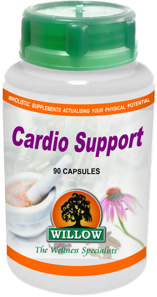 Cardio Support (90) Willow