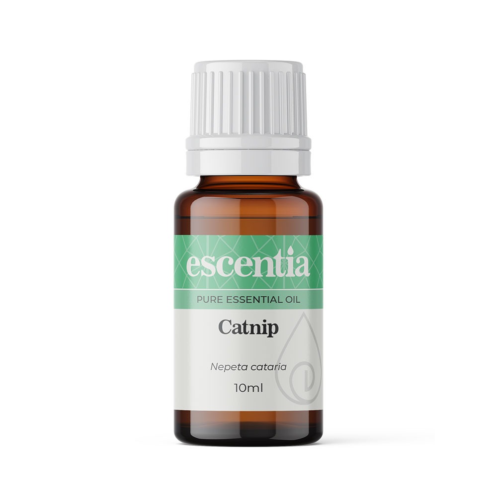 Catnip (10ml) Escentia