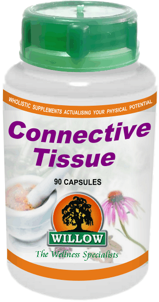 Connective Tissue (90) Willow