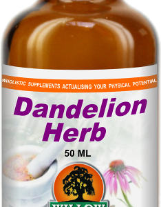 Dandelion Herb (50) Willow