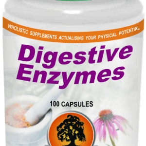 Digestive Enzymes (100) Willow