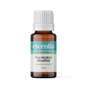 Eucalyptus Smithii (10ml) Escentia