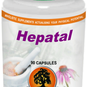 Hepatal (90) Willow