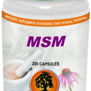 MSM Willow