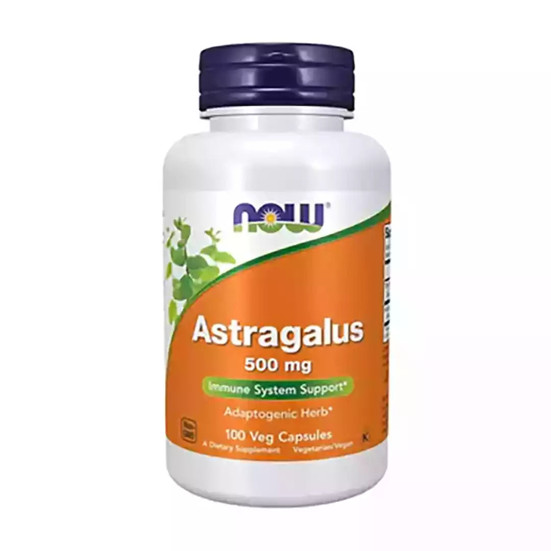 Astragalus 500mg (100) Now