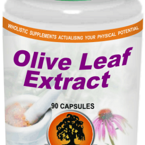 Olive Leaf (90) Willow