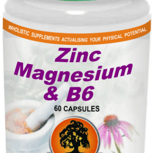 Zinc/Magnesium/B6 (60) Willow