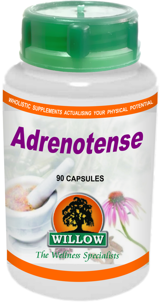 Adrenotense (90) Willow