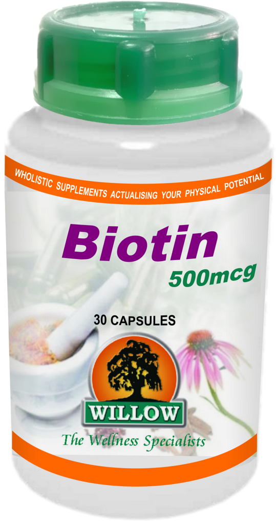 Biotin 500mcg (30) Willow