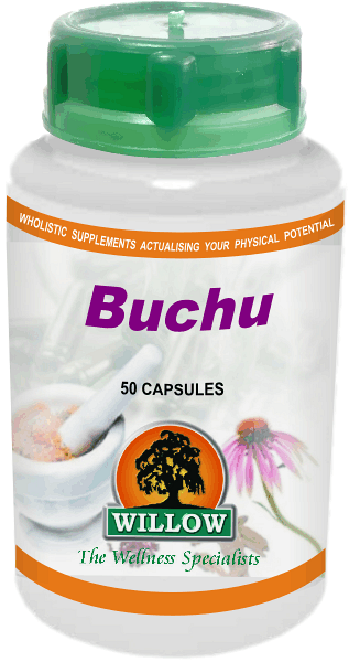 Buchu (50) Willow