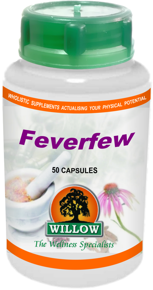 Feverfew (50) Willow