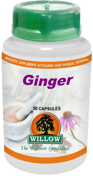 Ginger (50) Willow