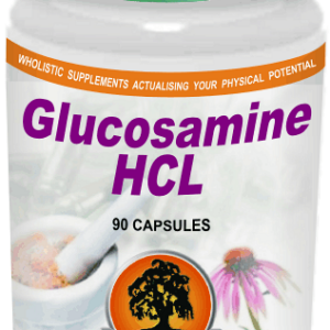 Glucosamine HCL (90) Willow