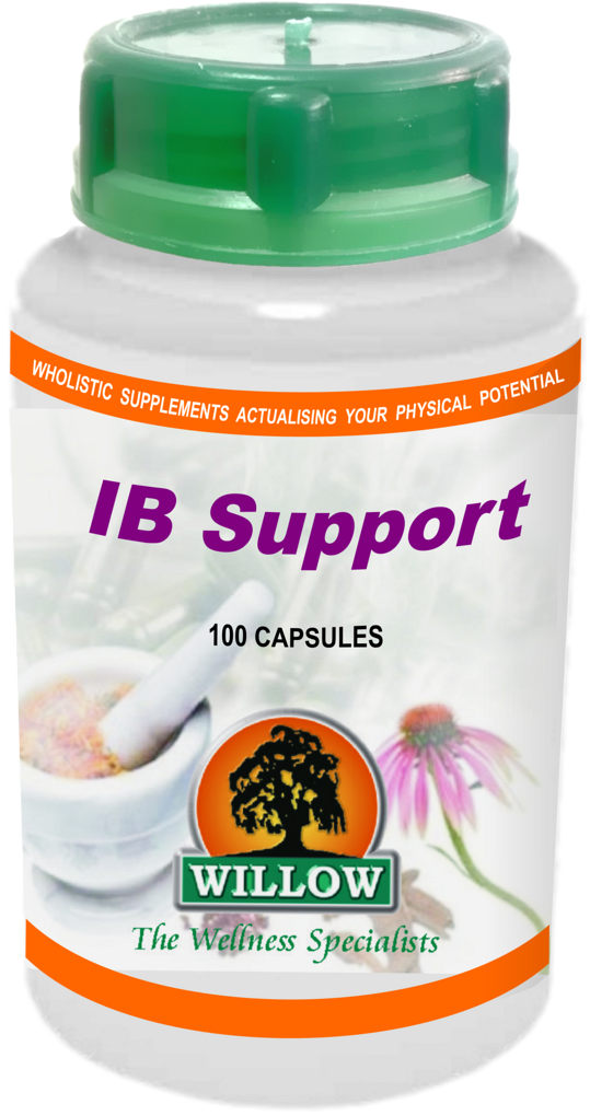 IB Support (100) Willow