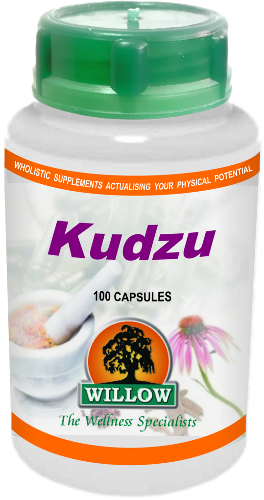 Kudzu (100) Willow