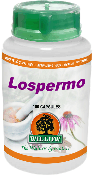 Lospermo (100) Willow