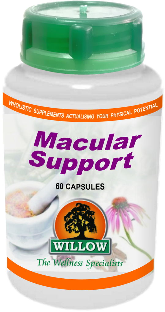 Macular Support (60) Willow