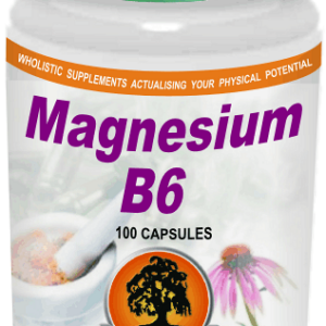 Magnesium + B6 (100) Willow