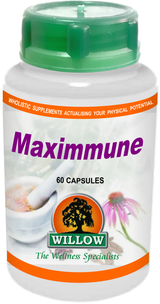 Maximmune (60) Willow
