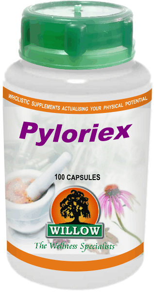 Pyloriex (100) Willow