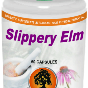 Slippery Elm (50) Willow