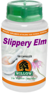 Slippery Elm (100) Willow