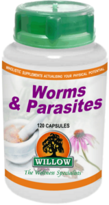 Worms & Parasites (120) Willow