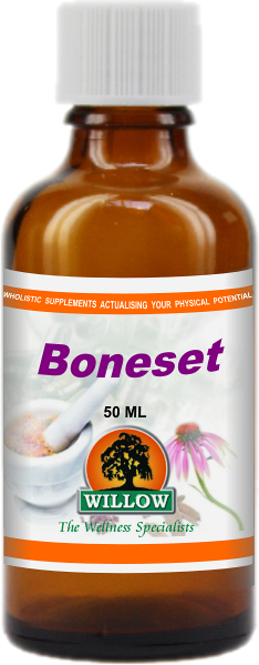 Boneset (50ml) Willow