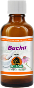 Buchu (50ml) Willow