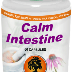 Calm Intestine (60) Willow