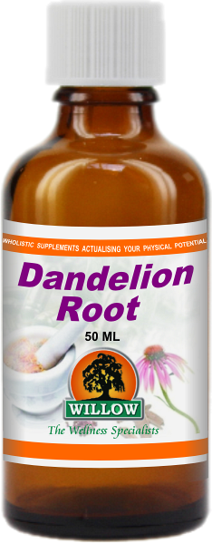 Dandelion Root (50ml) Willow
