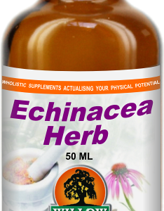 Echinacea Herb (50ml) Willow