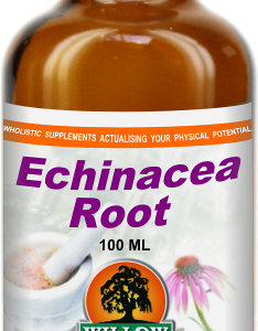 Echinacea Root (100ml) Willow