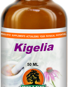 Kigelia (50ml) Willow