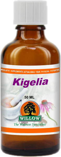 Kigelia (50ml) Willow