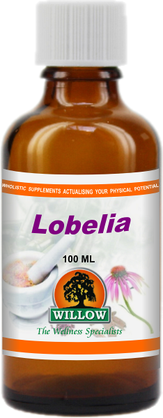 Lobelia (100ml) Willow