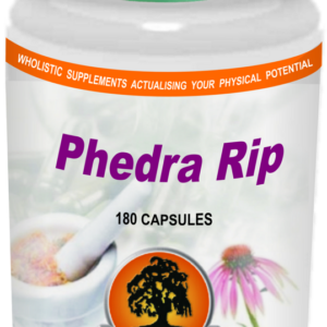 Phedra Rip (180) willow