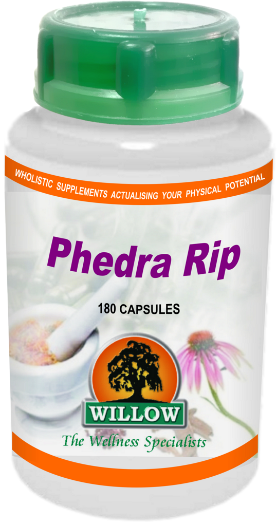 Phedra Rip (180) willow