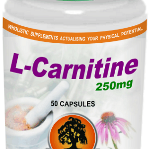 L-Carnitine 250mg (50) Willow