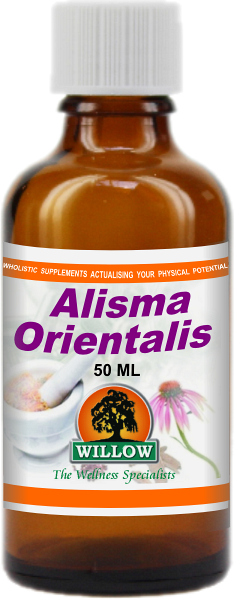 Alisma Orientalis (50ml) Willow