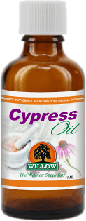 Cypress Oil (11ml) Willow
