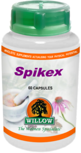 Spikex (60) Willow